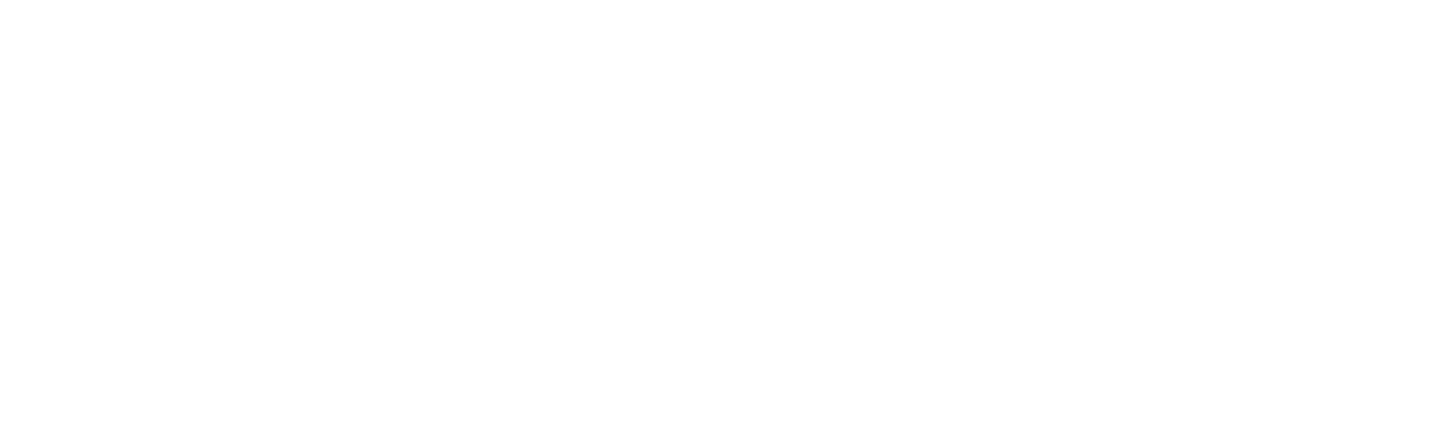 Fiverr Paid Review
